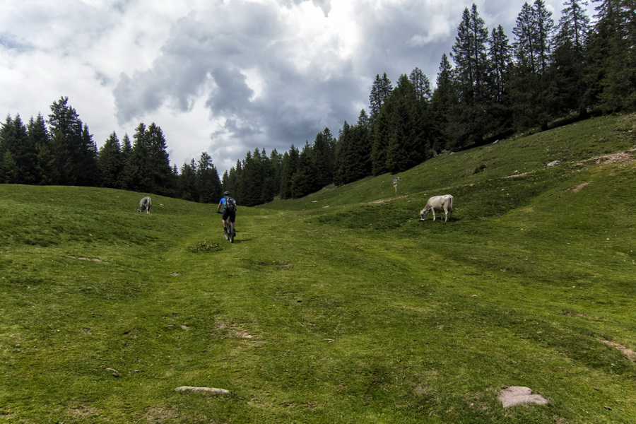 Auffahrt steinernen Mändla - MTB